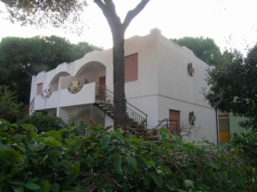 Apartment in Rosolina Mare 25069